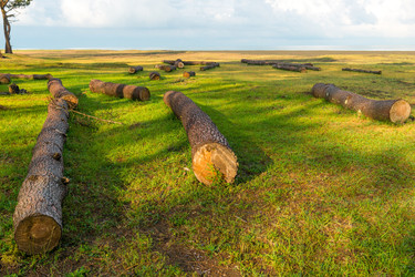 Similar image 22171679