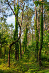 Similar image 22171456