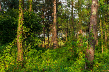 Similar image 22171458