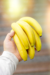 Similar image 22176307