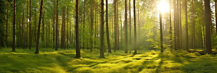 Similar image 22172327