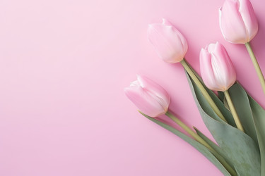 Similar image 22172451