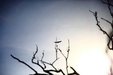 Similar image 22191727