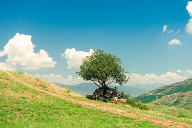 Similar image 22175521