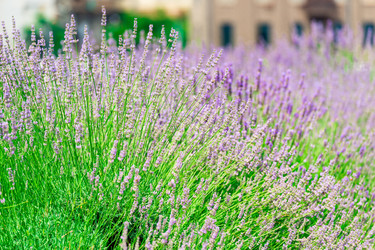 Similar image 22175522