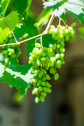 Similar image 22175538