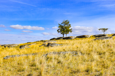 Similar image 22172627