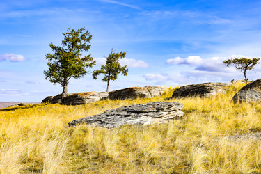 Similar image 22172628