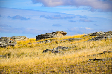 Similar image 22172629