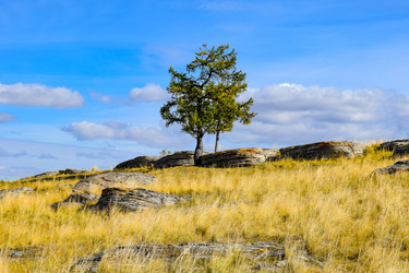 Similar image 22172630