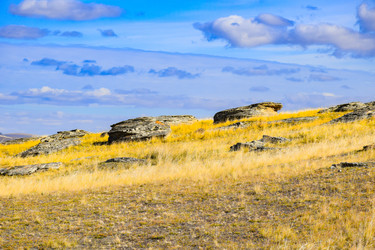 Similar image 22172631