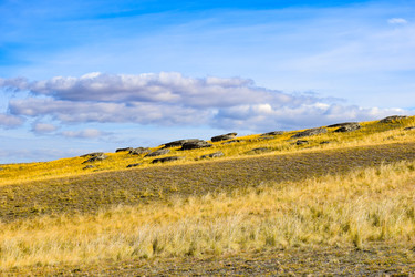 Similar image 22172632