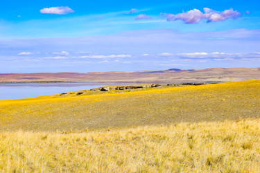 Similar image 22172634