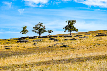 Similar image 22172635