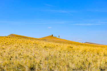 Similar image 22173939