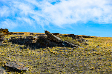 Similar image 22173943