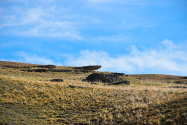 Similar image 22173944