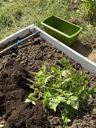 Similar image 22173955