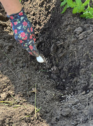 Similar image 22173956