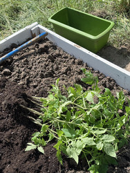 Similar image 22173957