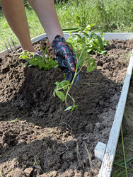 Similar image 22173958