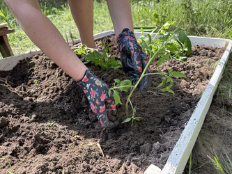 Similar image 22173959