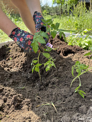 Similar image 22173960