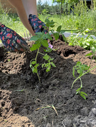 Similar image 22173961