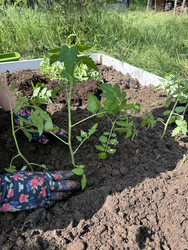 Similar image 22173964