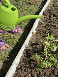 Similar image 22173966