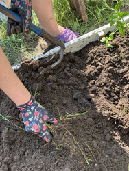 Similar image 22173967