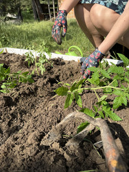 Similar image 22173969