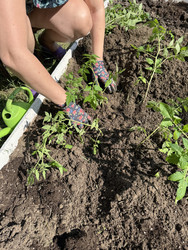 Similar image 22173970