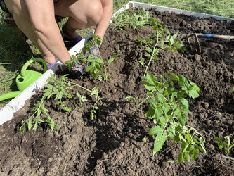 Similar image 22173971