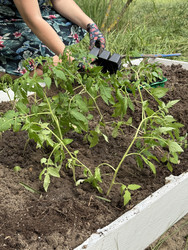 Similar image 22173972