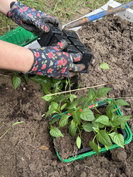 Similar image 22173973