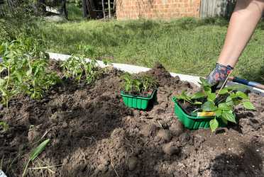 Similar image 22173974