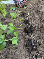 Similar image 22173975