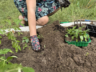 Similar image 22173976