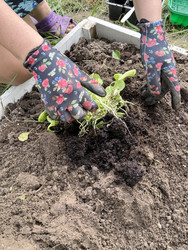 Similar image 22173977