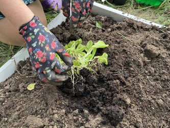 Similar image 22173978