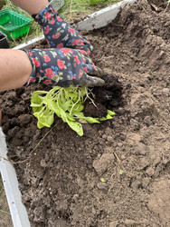 Similar image 22173979