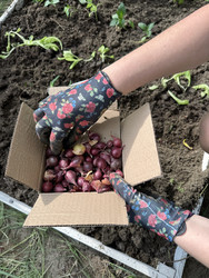 Similar image 22173980