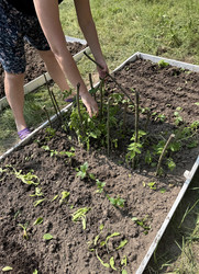 Similar image 22173984