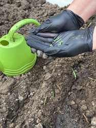 Similar image 22173990