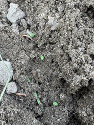 Similar image 22173991