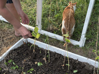 Similar image 22173992