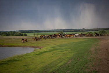 Similar image 22175923