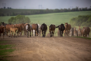 Similar image 22175924