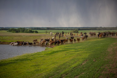 Similar image 22175925